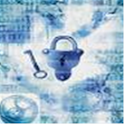 CISA Terminology flashcards logo
