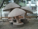 三朵蘑菇
