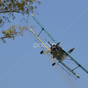 Flying low by Vladimir Bogovac - Transportation Airplanes