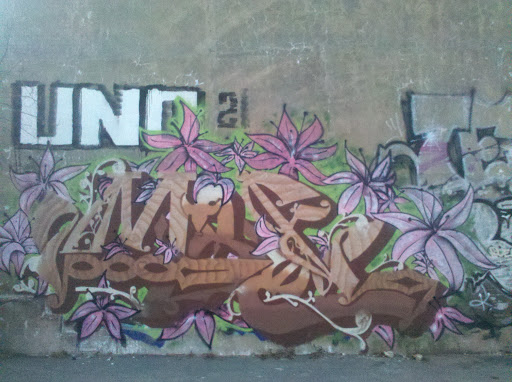 Графити с лилиями