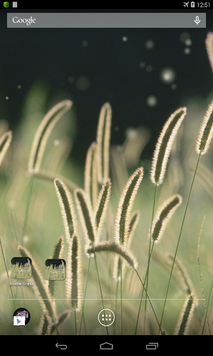 zz[Unpublish]Bristle Grass