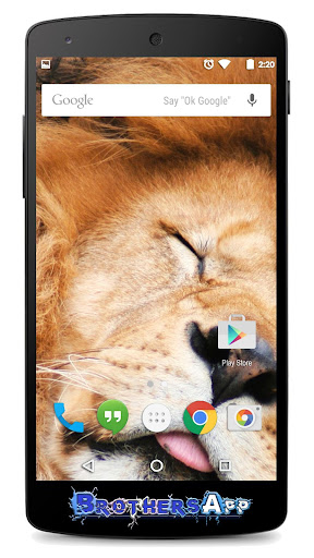 Lion Background