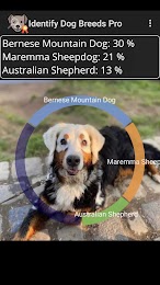 Identify Dog Breeds Pro 1
