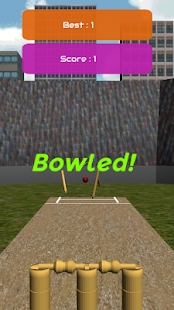 How to download Bowled - Cricket Game 1.9 unlimited apk for pc