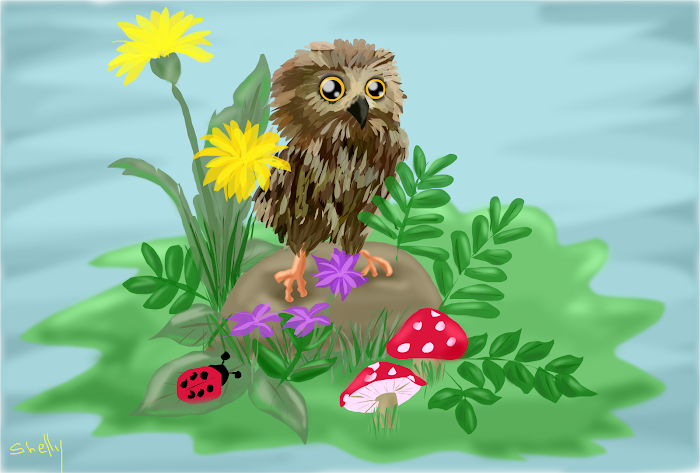 Owl for Alexz