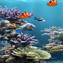 Live Wallpaper Aquarium