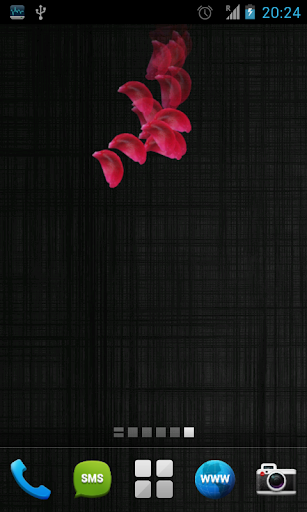 Falling Rose Petals Live Wall.