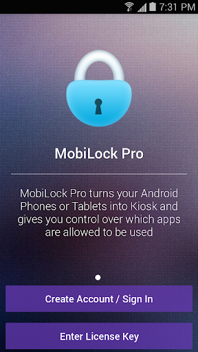 MobiLock Pro