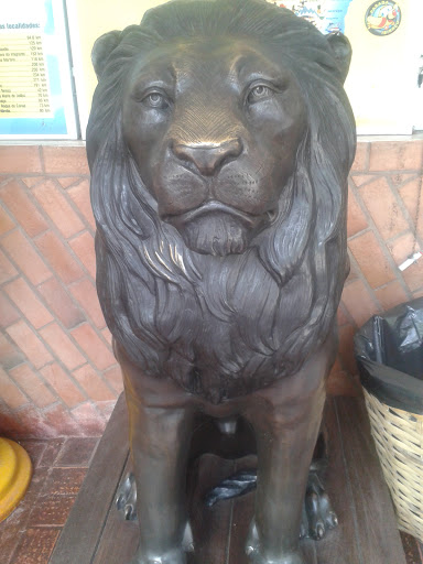 Estatua Do Leão Guardião