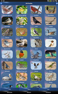 Bird Song Id USA Automatic Recognition songs calls(圖9)-速報App