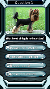 Dog Breed Animal Quiz Game Screenshots 13