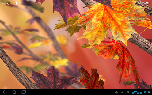 Autumn Tree Free Wallpaper(圖5)-速報App
