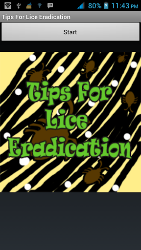 Tips For Lice Eradication