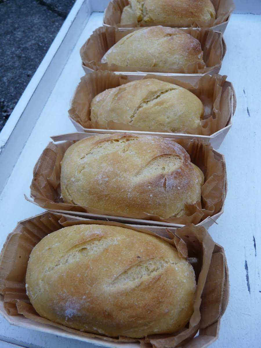 Little Corn Flour Buns Corn Flour Bread Recipe Yummly