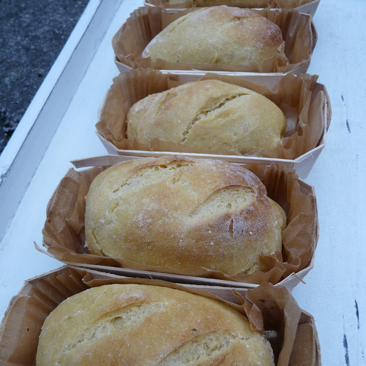 Little Corn Flour Buns Corn Flour Bread Recipe Yummly