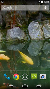 Koi Pond Video Live Wallpaper(圖5)-速報App