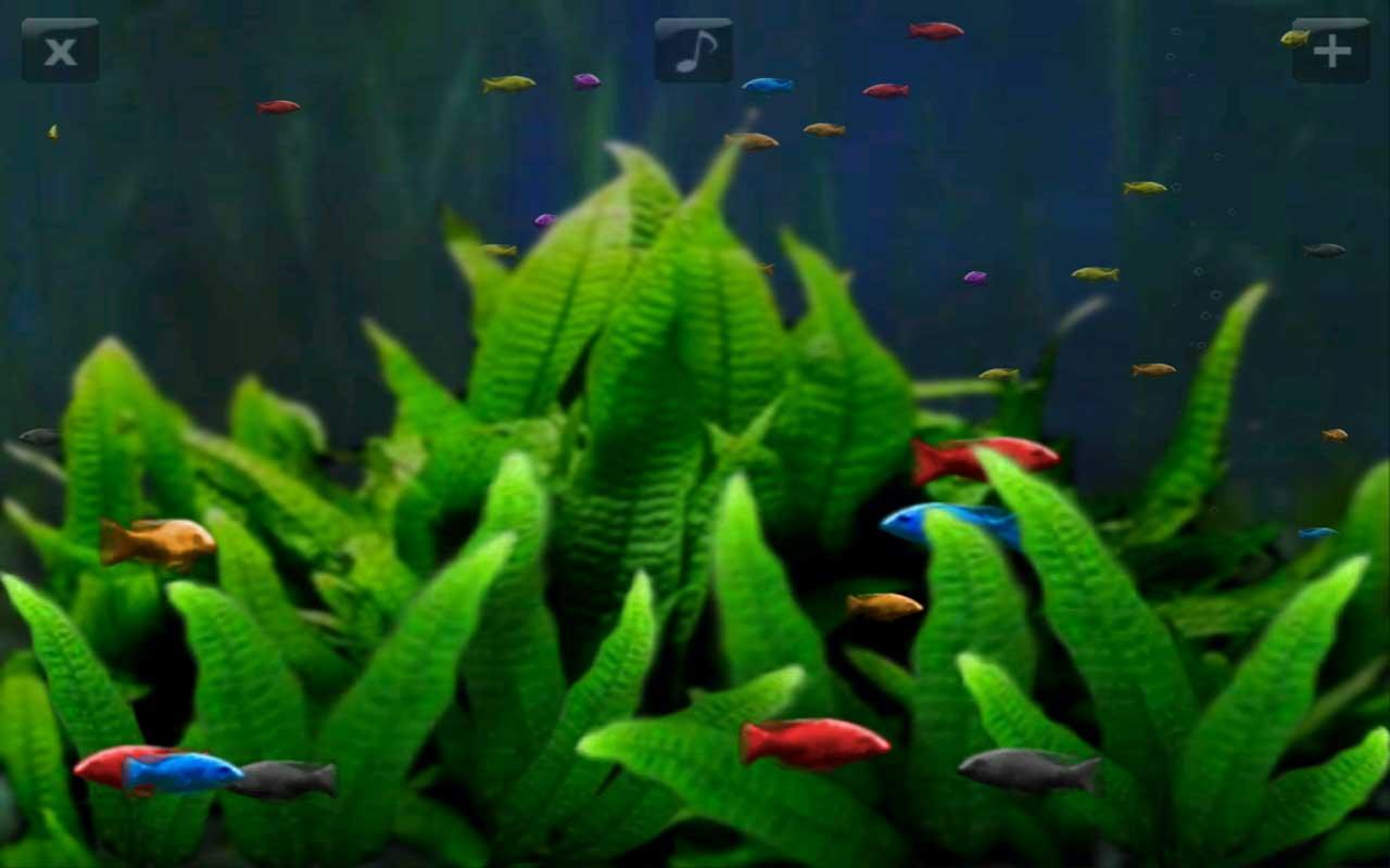 Android application Relax Aquarium screenshort