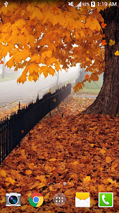Free Maple Live Wallpaper PRO HD APK