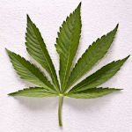 Weed Wallpapers and Pictures Apk
