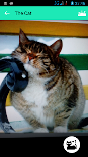 How to install The Cat 1.0 mod apk for laptop
