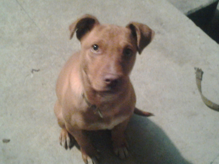 bax