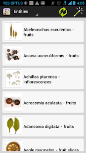Dried Botanicals Key(圖2)-速報App