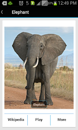 Animal Sound & Photos for Kids poster 2