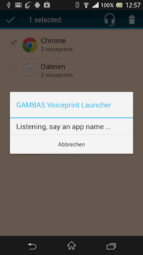 GAMBAS Voiceprint Launcher