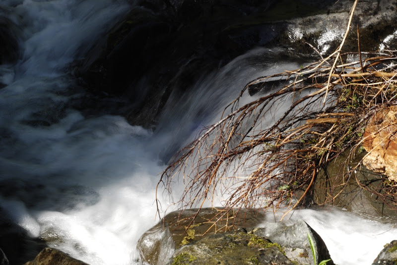 _DSC0261 copy.JPG