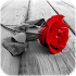 Photo Art - Color Effects1.8.4
