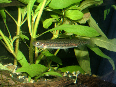 DSCF1625.jpg