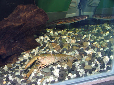 DSCF1617.jpg