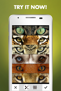 Animal Eyes(圖5)-速報App