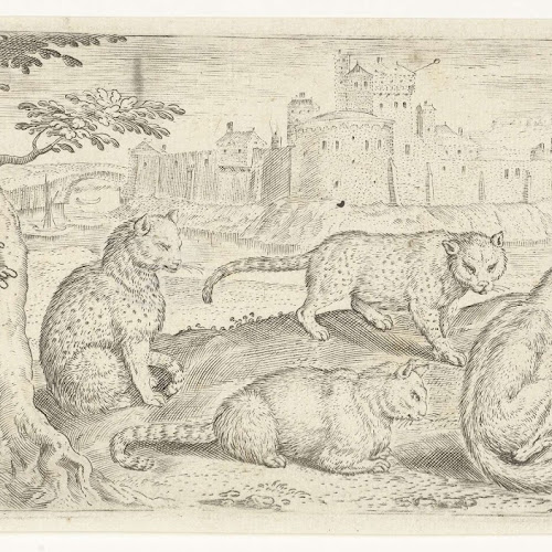 Ratten, katten en vossen, Abraham de Bruyn (possibly), 1583 Rijksmuseum