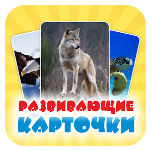 download Страховое