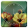 Glowing Flower HD Analog Clock Download on Windows