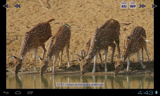 How to mod Deer Wallpaper HD lastet apk for android
