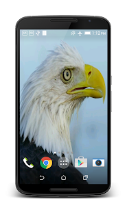 How to mod USA Eagle Live Wallpaper patch 3.0 apk for laptop