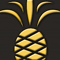 Southern First Bancshares logo
