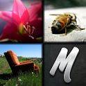 Momentile logo
