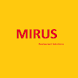 MIRUS Store Level Reporting