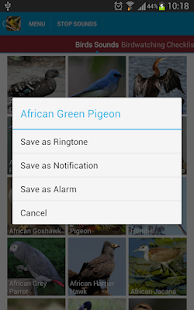 African Birds Sounds Free(圖7)-速報App