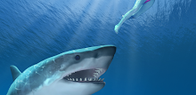 Great White Shark Attack APK