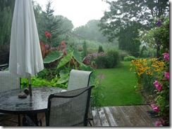 rain 002