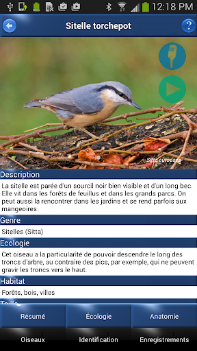 免費下載書籍APP|Oiseau Id: Oiseaux de France app開箱文|APP開箱王