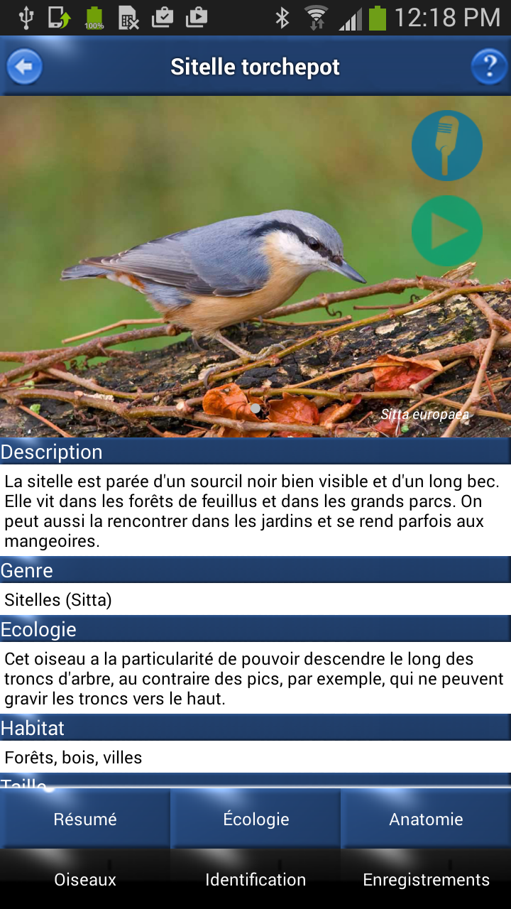Oiseau Id: Oiseaux de France Screen 2