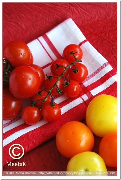 Tomatoes (02) by MeetaK