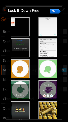 【免費個人化App】Lock It Down Free-APP點子