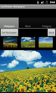 Sunflower Wallpaper Screenshots 5
