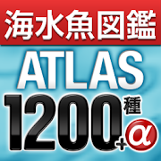 アクアリウムの海水魚図鑑 ATLAS 1200種+α 1.1.1 Icon